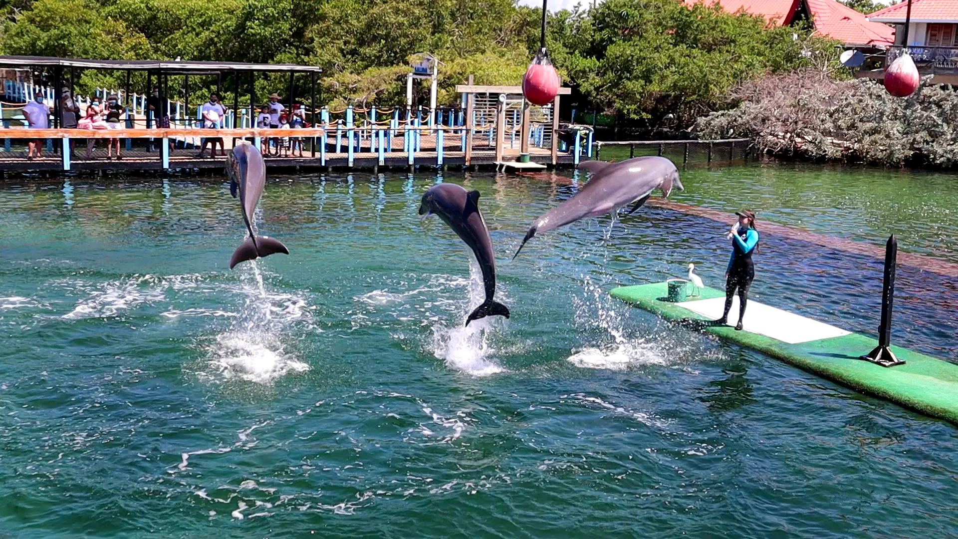 The Rosario Islands Oceanarium, on San Martín de Pajarales